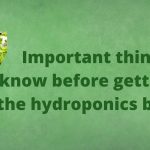 hydrponic business
