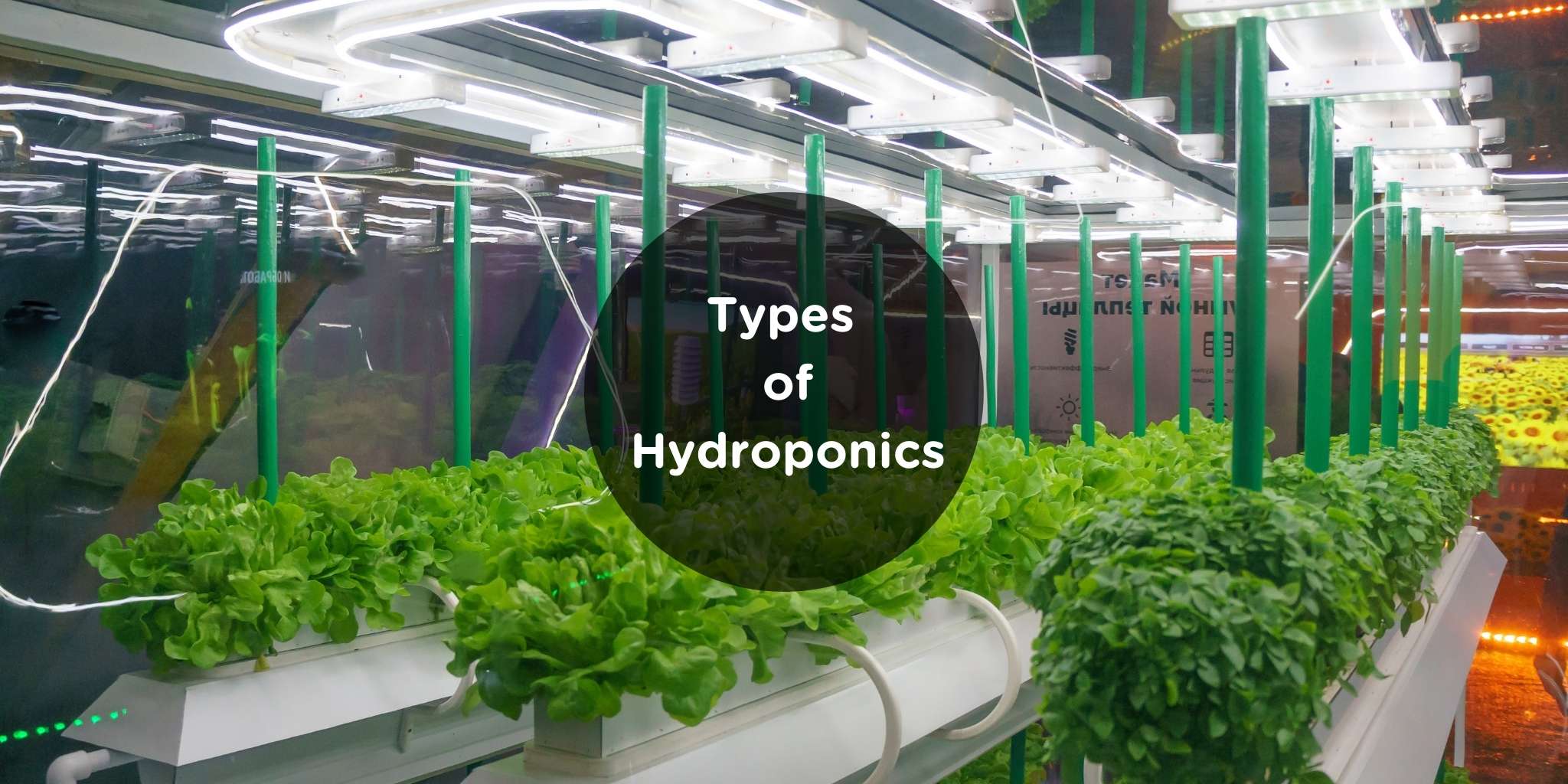 types of hydroponics systems